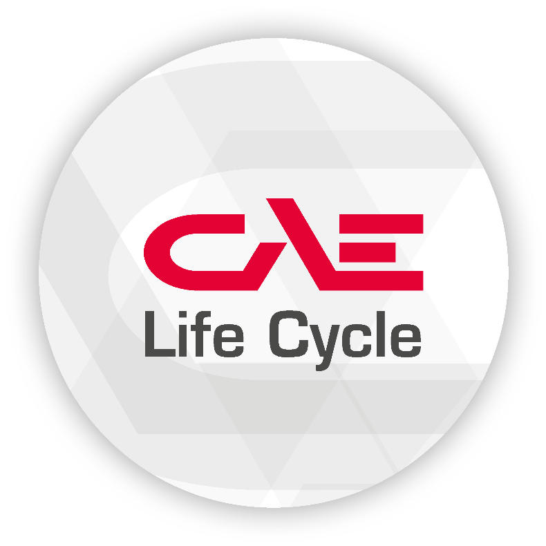 CAE Life Cycle